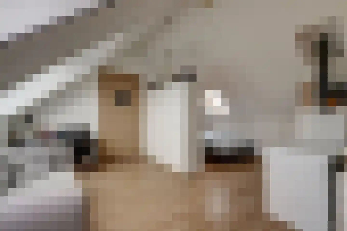 Waaiersluis 25 Sleeuwijk thumbnail 34