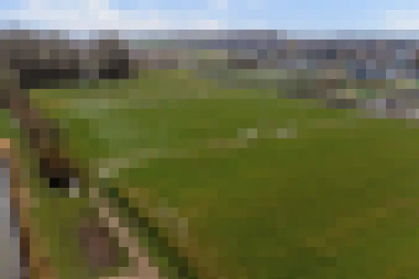 Waaiersluis 25 Sleeuwijk thumbnail 44