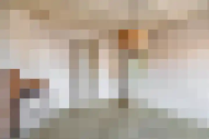 Waaigat 11 Lemmer thumbnail 18
