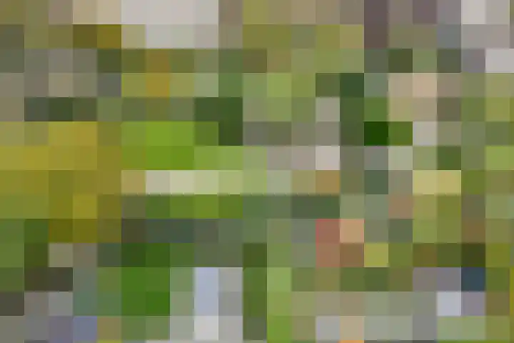Waaigat 15 Amsterdam thumbnail 14