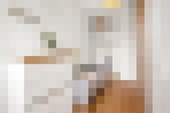 Waaigat 15 Amsterdam thumbnail 15