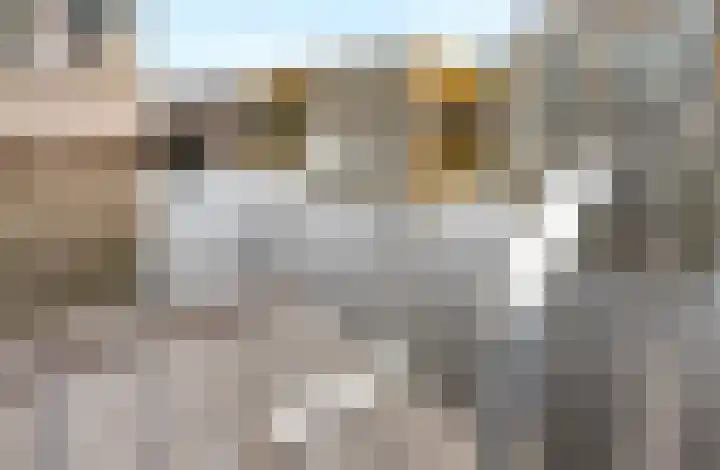 Waaigat 15 Amsterdam thumbnail 23