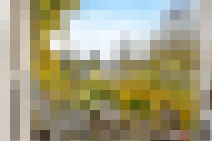 Waaigat 15 Amsterdam thumbnail 6