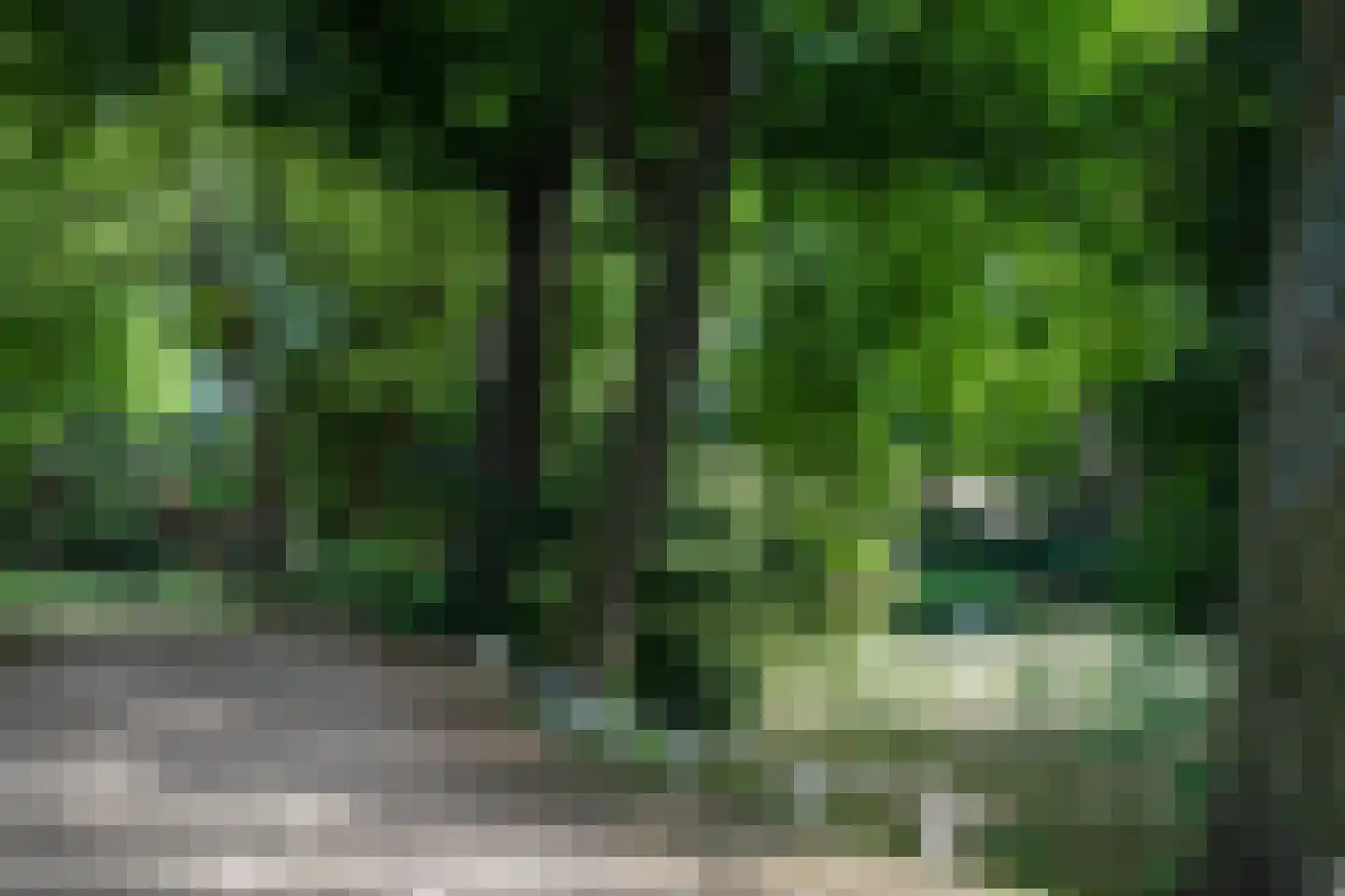 Waaigat 52 Enkhuizen thumbnail 68