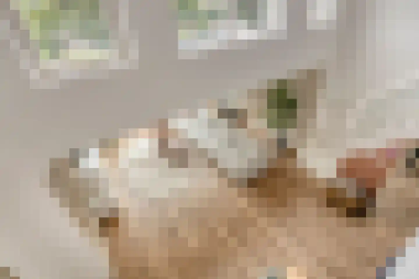 Waaigat 7 Enkhuizen thumbnail 24