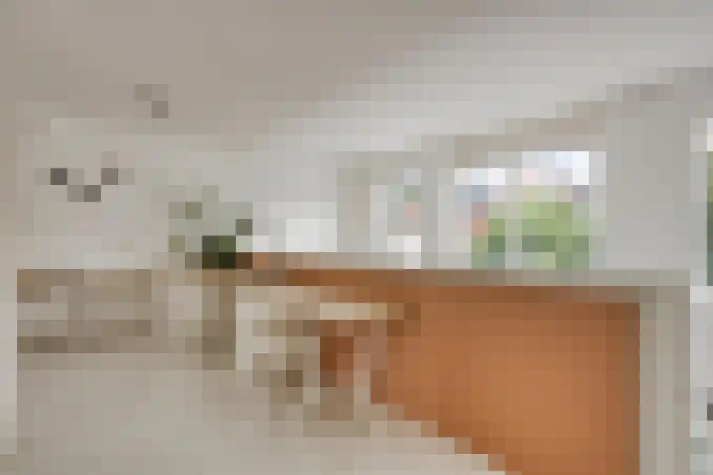 Waaigat 7 Enkhuizen thumbnail 26