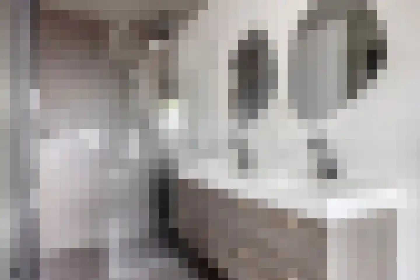 Waaigat 7 Enkhuizen thumbnail 29