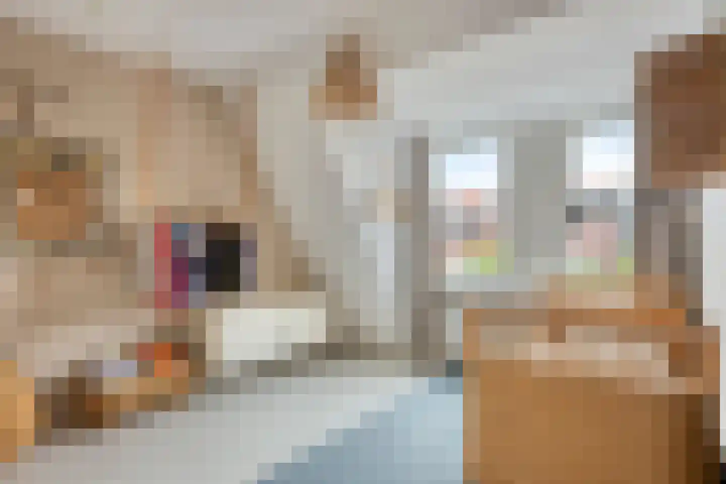 Waaigat 7 Enkhuizen thumbnail 39