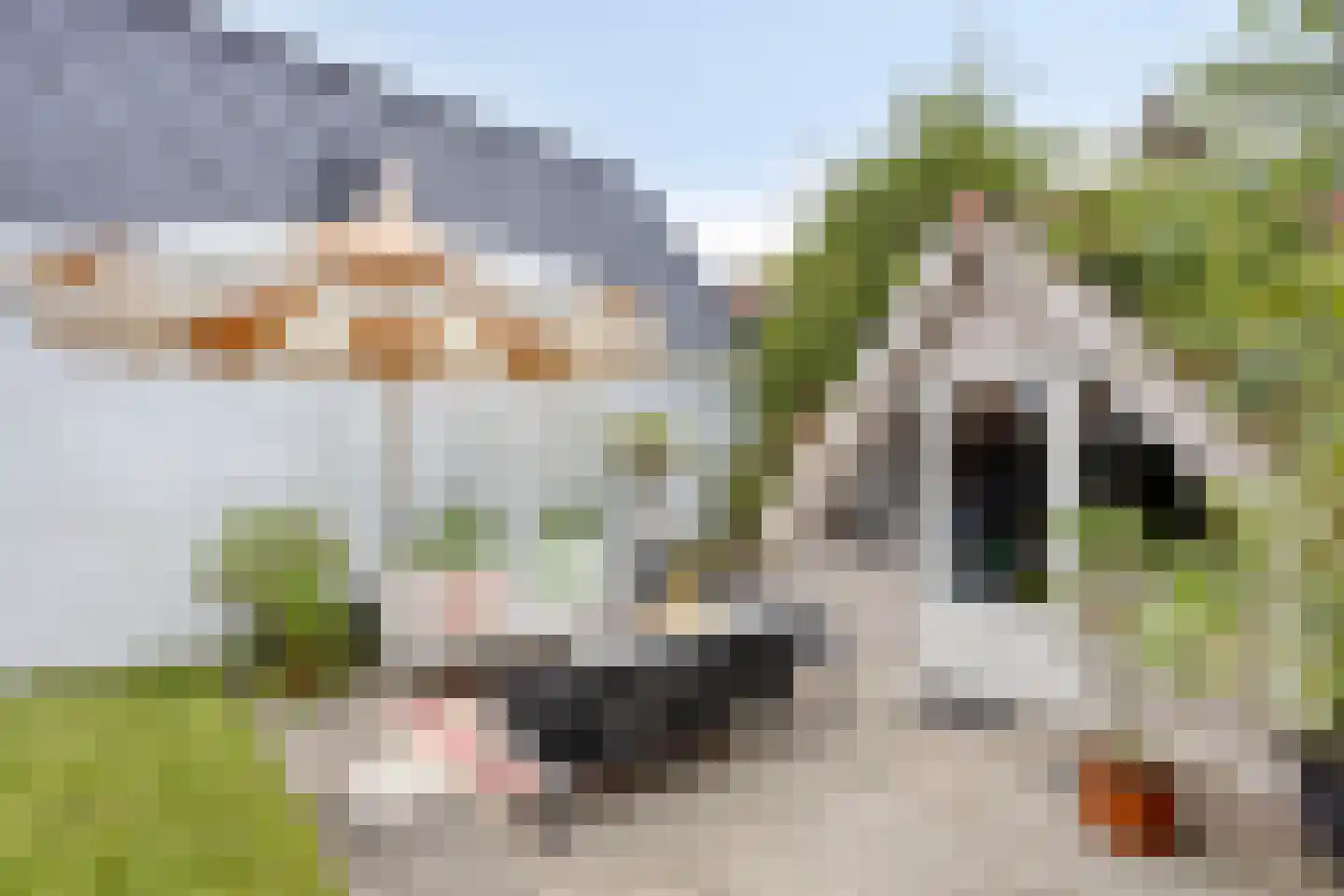 Waaigat 7 Enkhuizen thumbnail 49