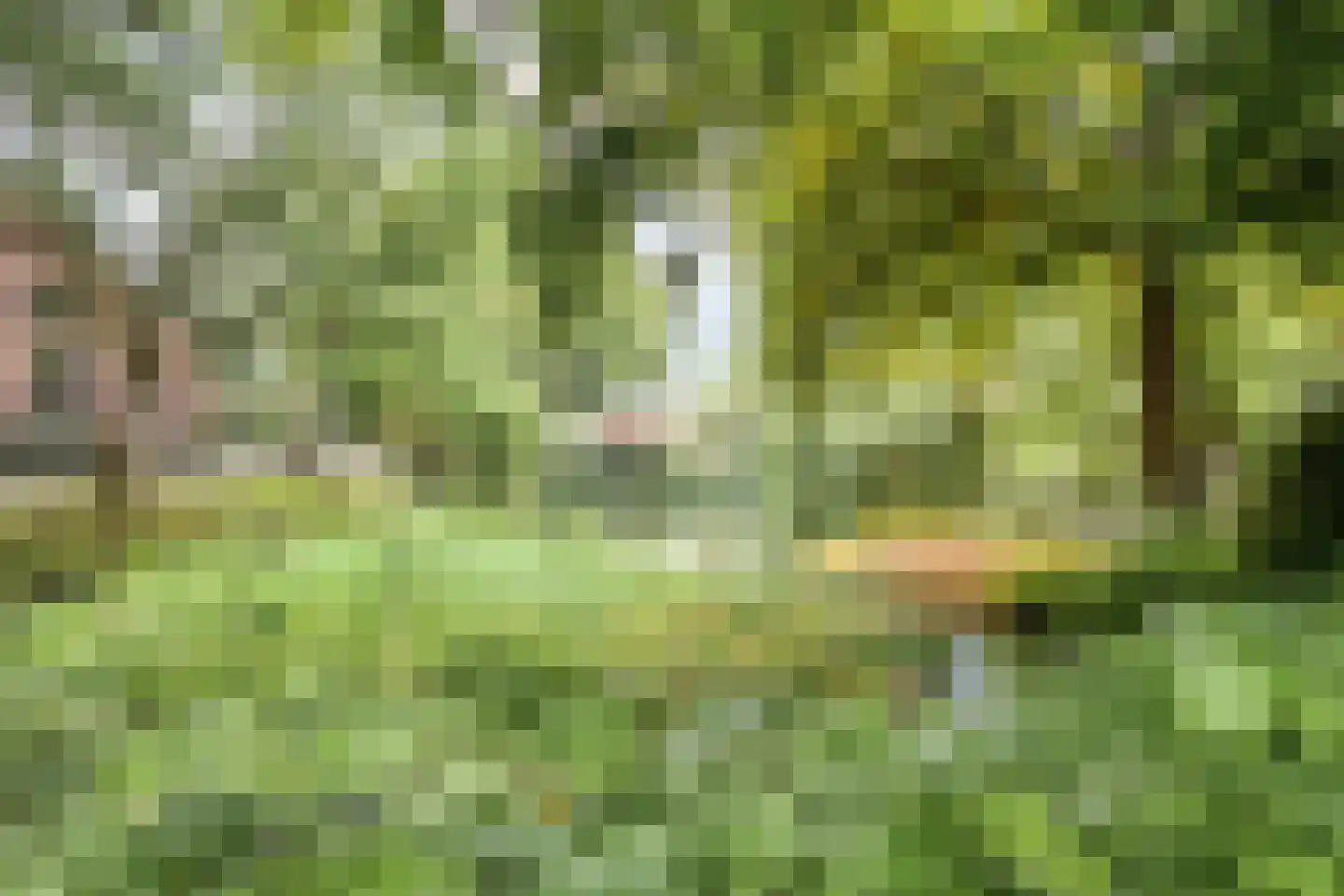 Waaigat 7 Enkhuizen thumbnail 58