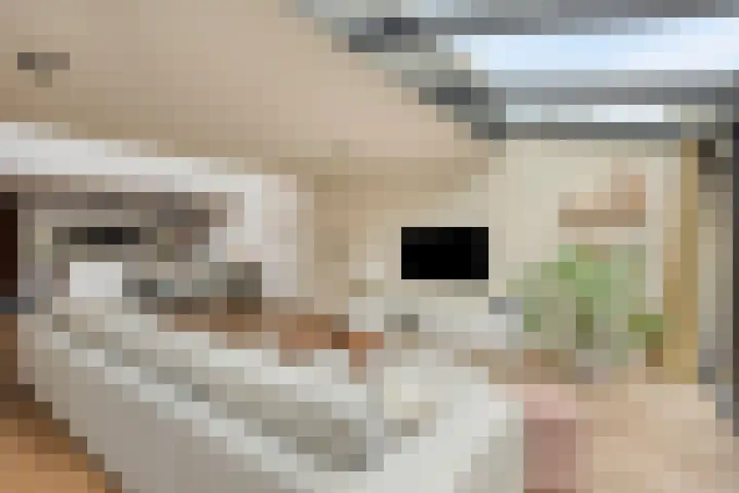 Waaigat 7 Enkhuizen thumbnail 8
