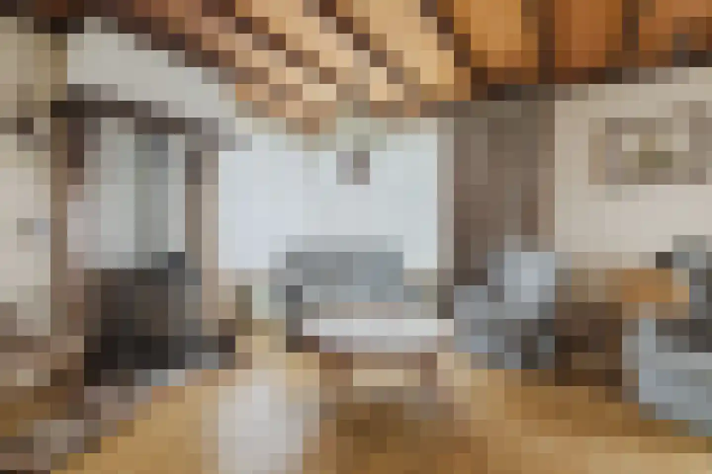 Waaijenbergstraat 2 Zundert thumbnail 12