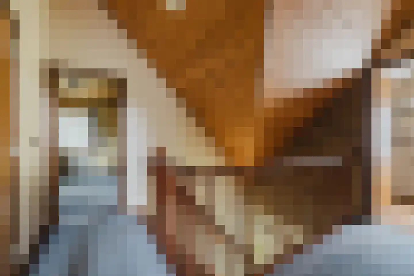 Waaijenbergstraat 2 Zundert thumbnail 18