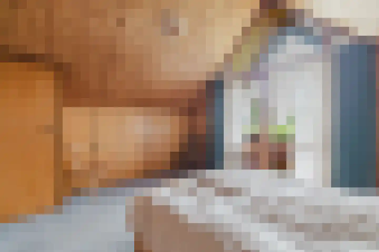 Waaijenbergstraat 2 Zundert thumbnail 20