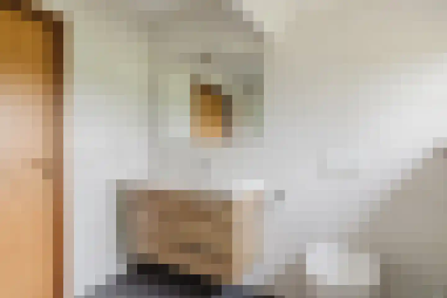 Waaijenbergstraat 2 Zundert thumbnail 25