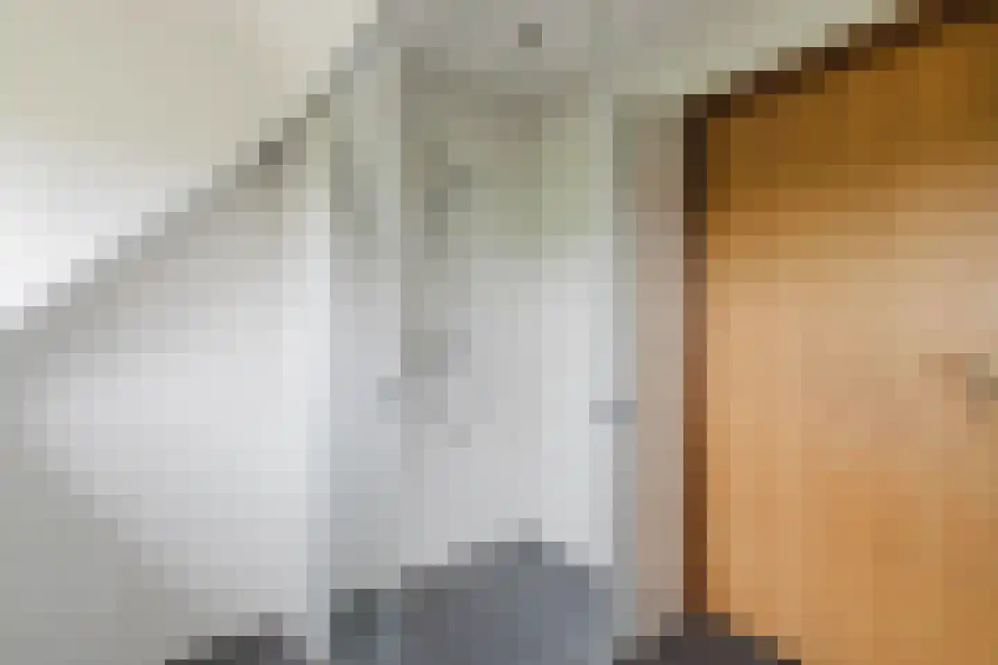 Waaijenbergstraat 2 Zundert thumbnail 26