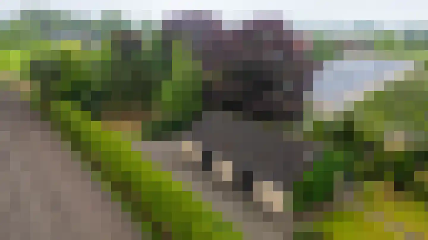 Waaijenbergstraat 2 Zundert thumbnail 30