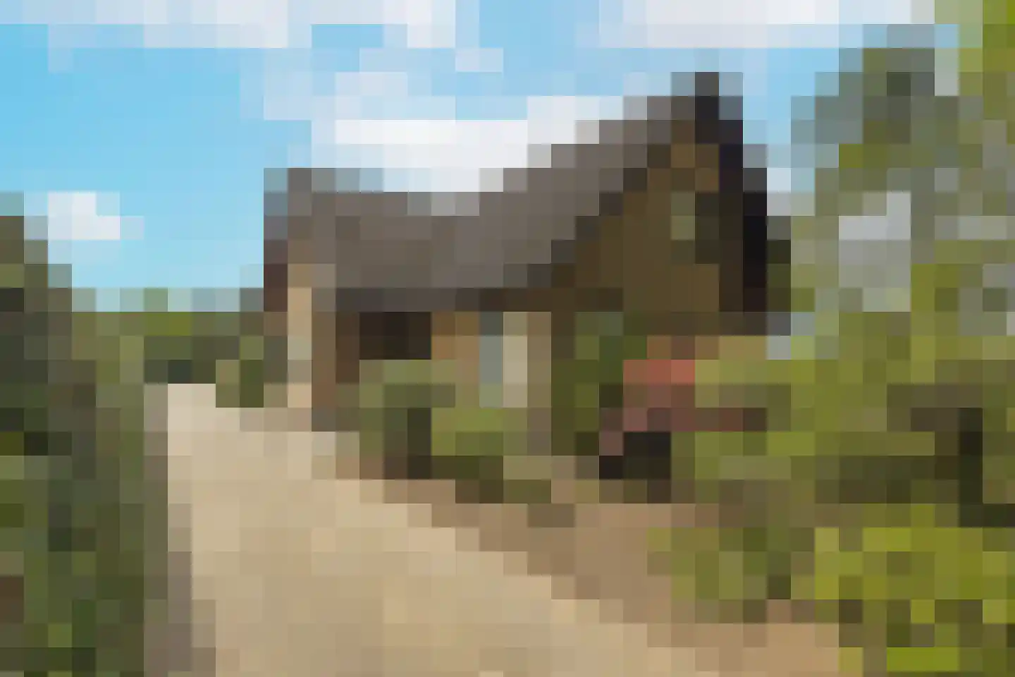 Waaijenbergstraat 2 Zundert thumbnail 31
