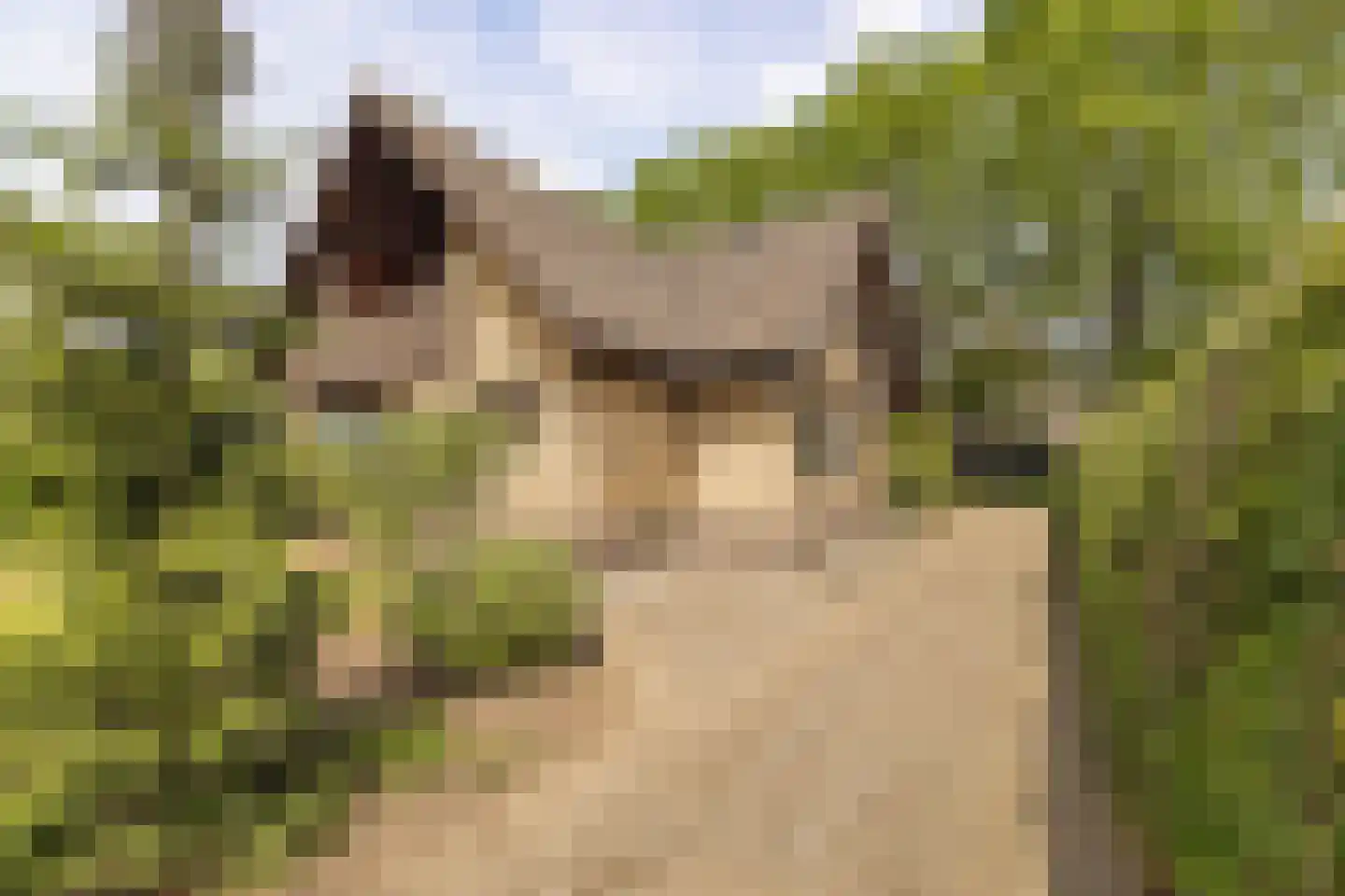 Waaijenbergstraat 2 Zundert thumbnail 33