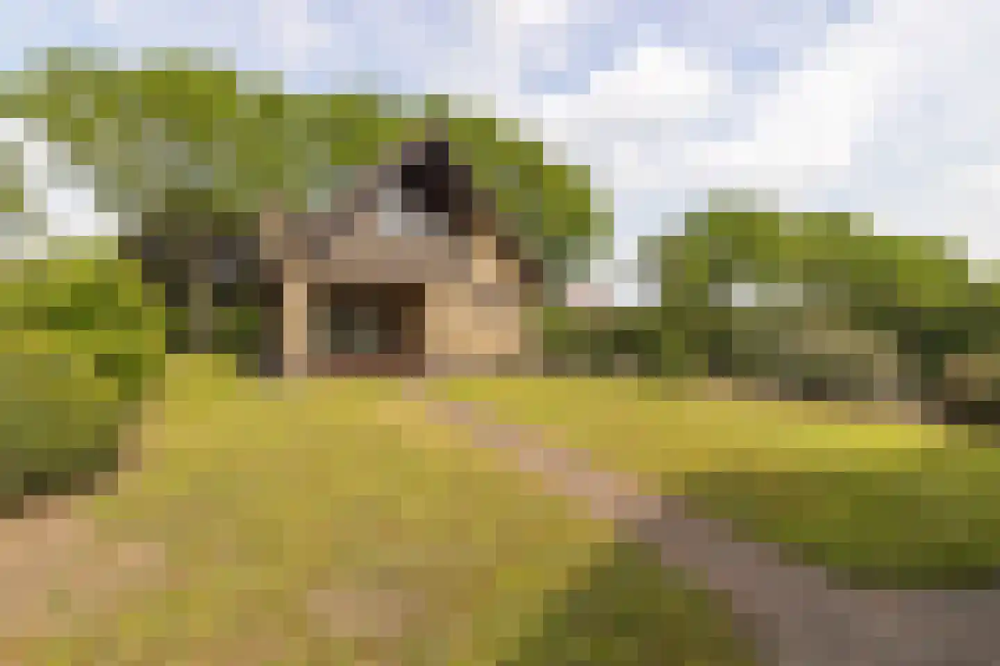 Waaijenbergstraat 2 Zundert thumbnail 34