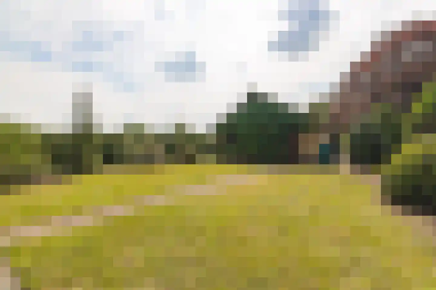 Waaijenbergstraat 2 Zundert thumbnail 37
