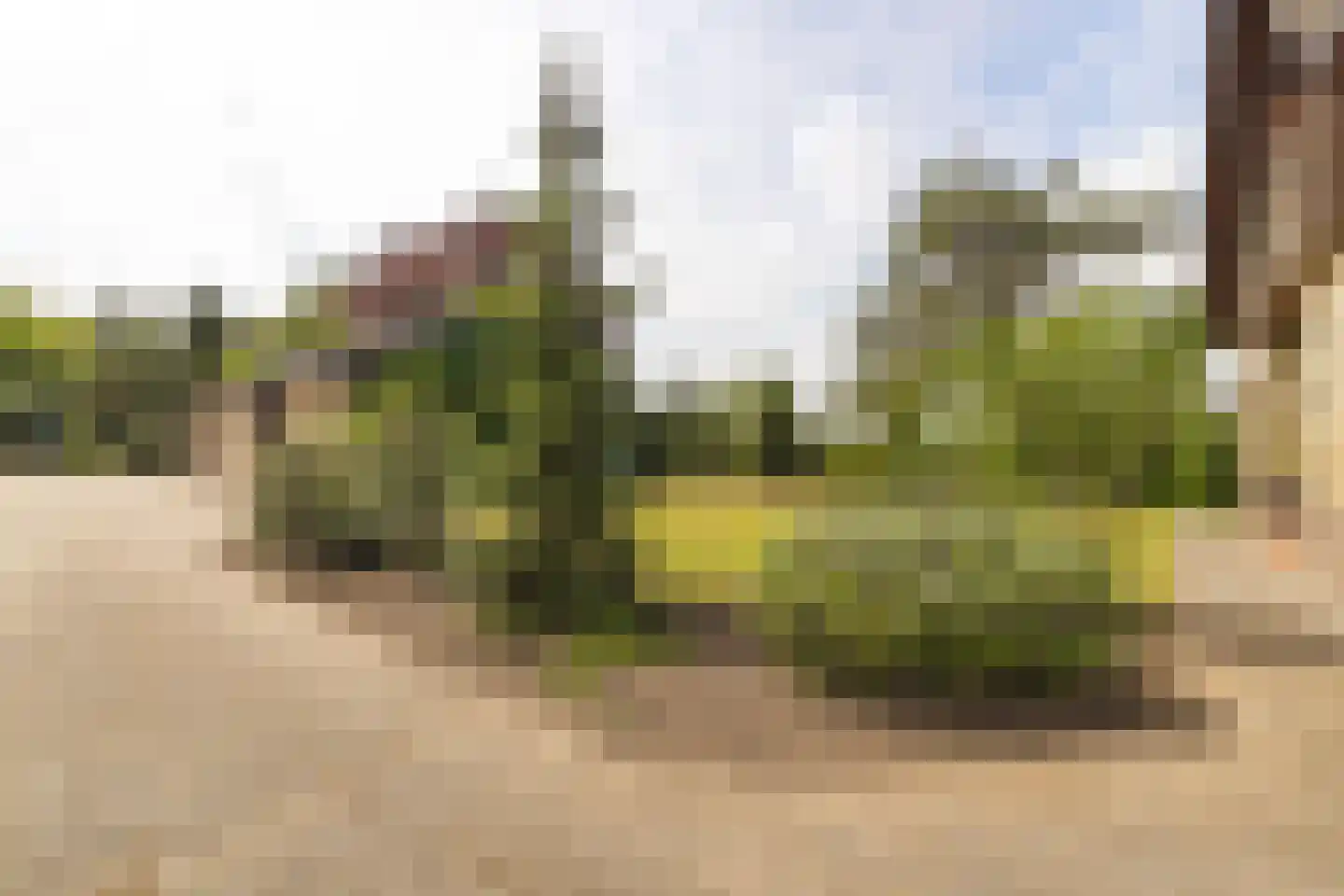 Waaijenbergstraat 2 Zundert thumbnail 38
