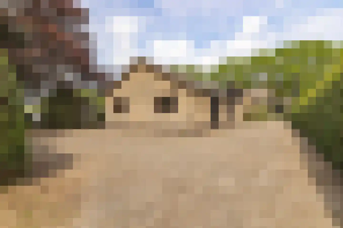 Waaijenbergstraat 2 Zundert thumbnail 40