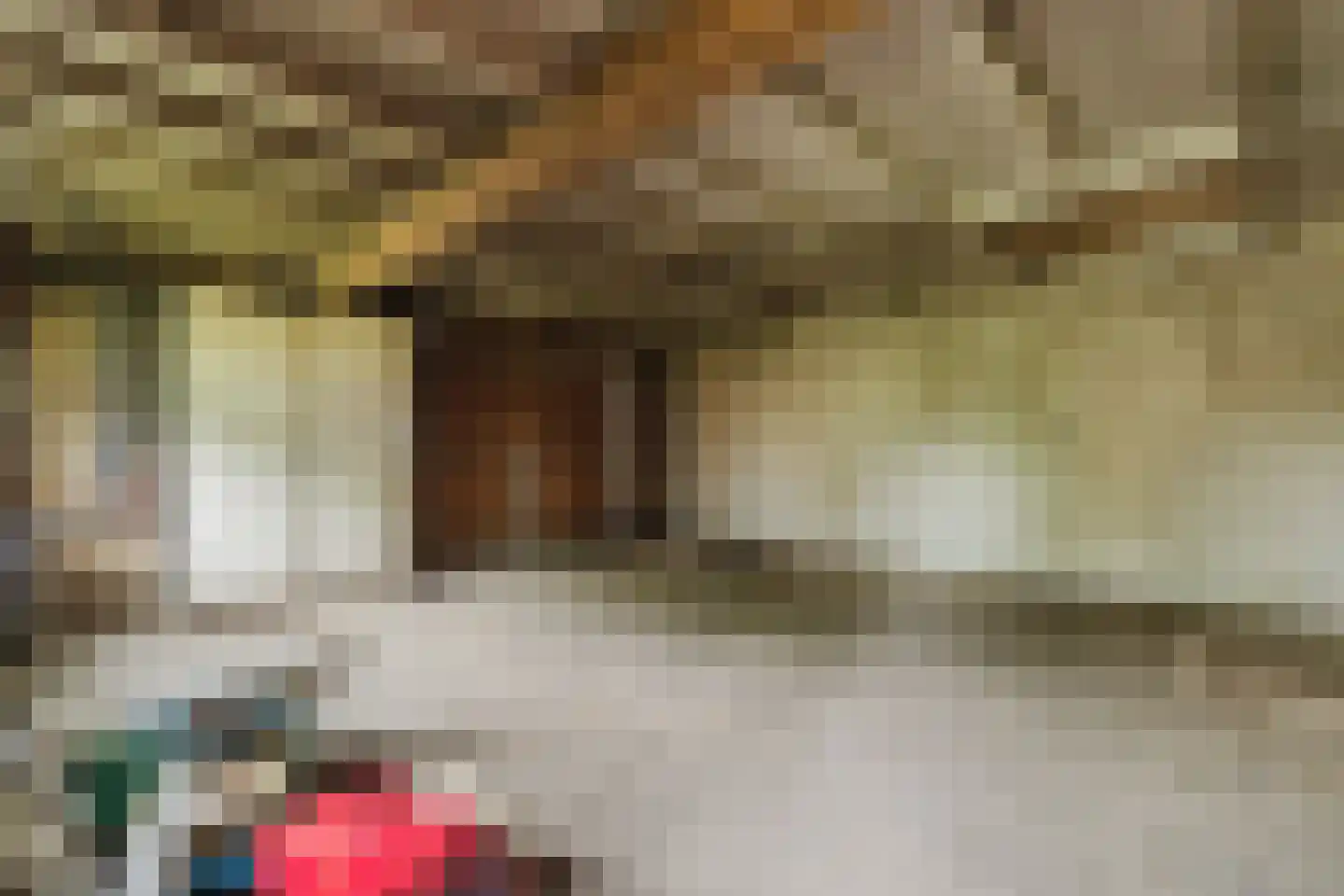 Waaijenbergstraat 2 Zundert thumbnail 41