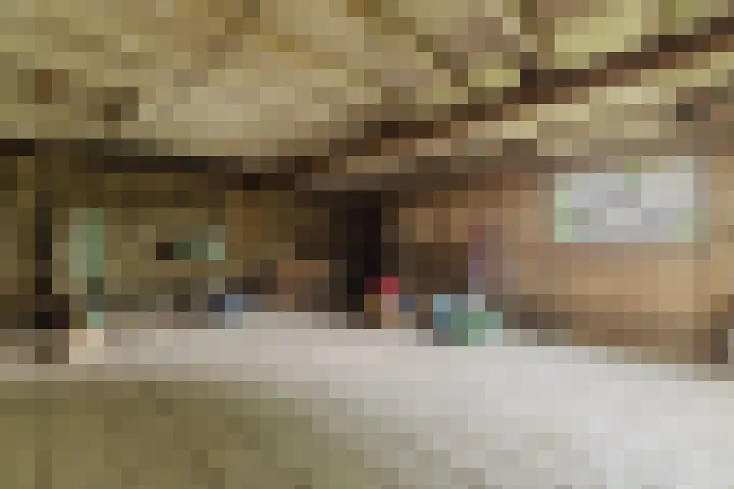 Waaijenbergstraat 2 Zundert thumbnail 42