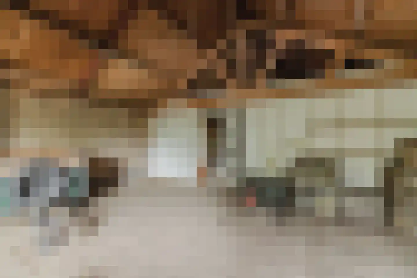 Waaijenbergstraat 2 Zundert thumbnail 43