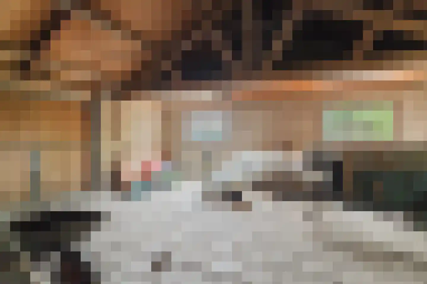 Waaijenbergstraat 2 Zundert thumbnail 44