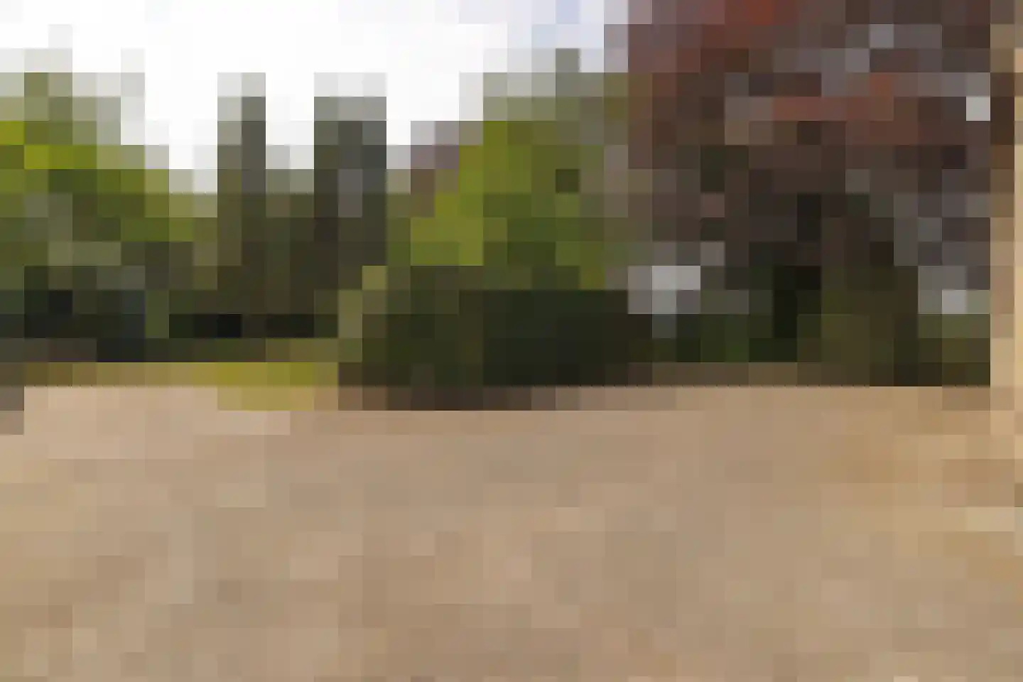 Waaijenbergstraat 2 Zundert thumbnail 45