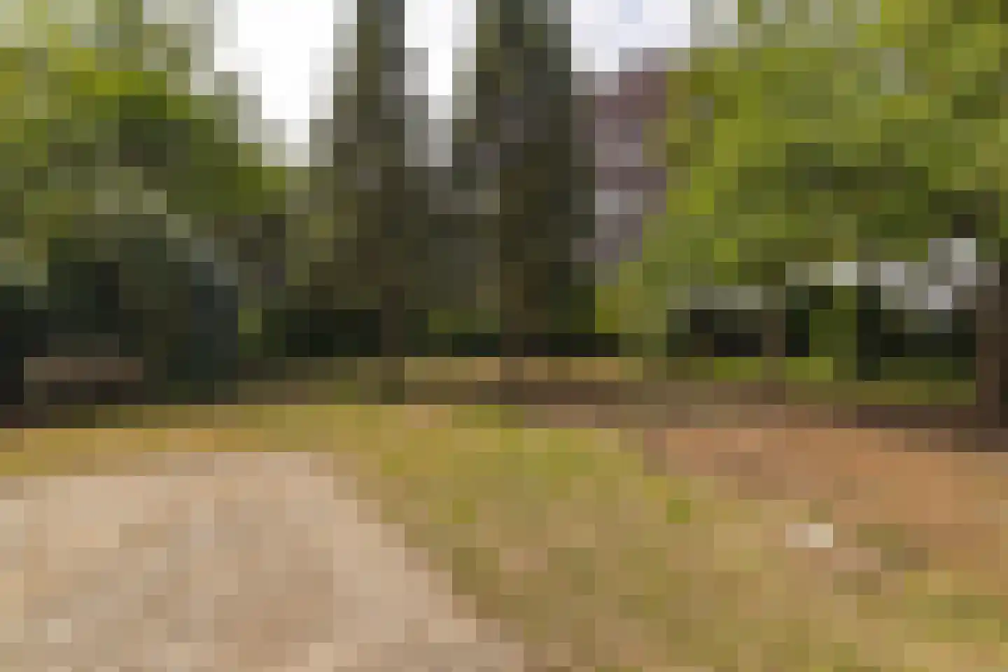 Waaijenbergstraat 2 Zundert thumbnail 46