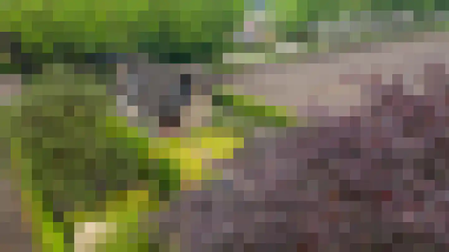 Waaijenbergstraat 2 Zundert thumbnail 5