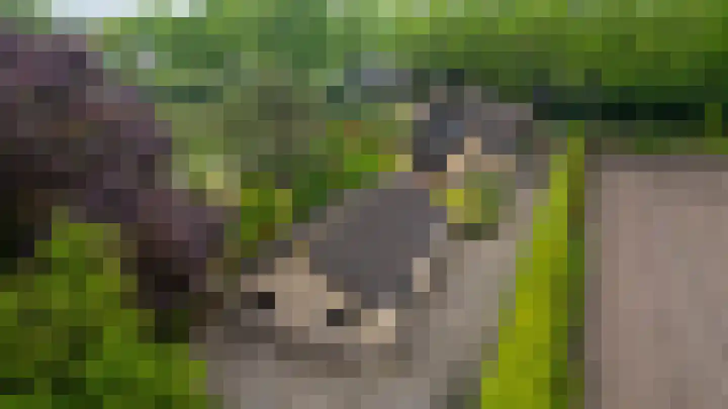 Waaijenbergstraat 2 Zundert thumbnail 6