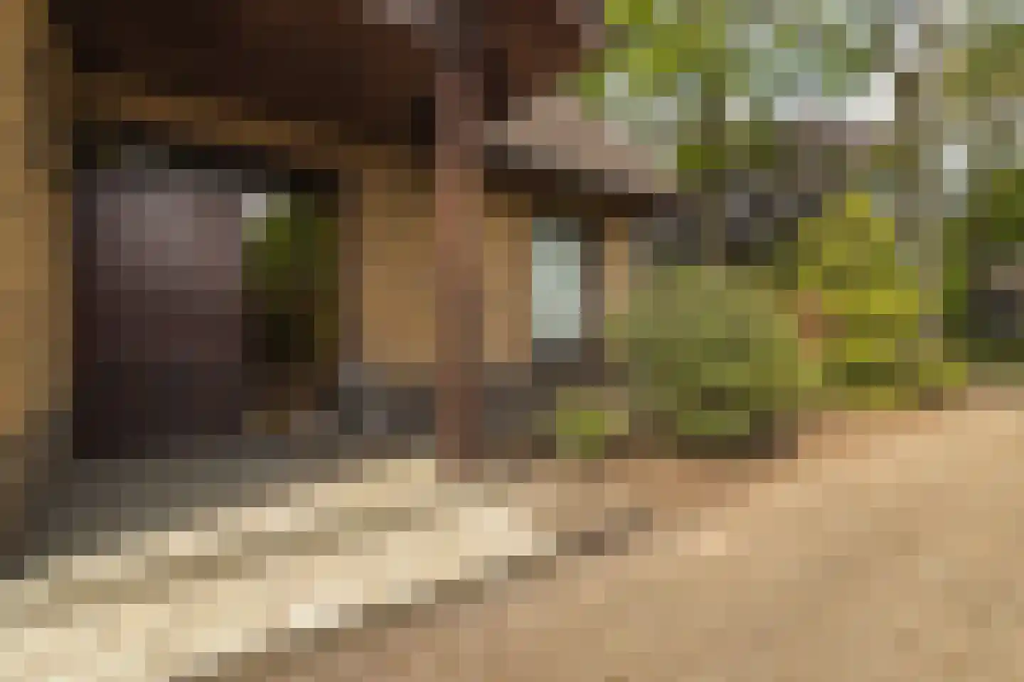 Waaijenbergstraat 2 Zundert thumbnail 7