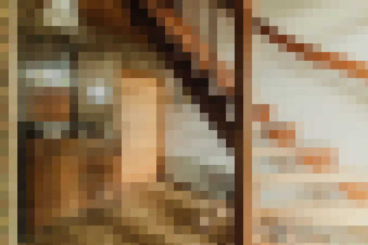 Waaijenbergstraat 2 Zundert thumbnail 8