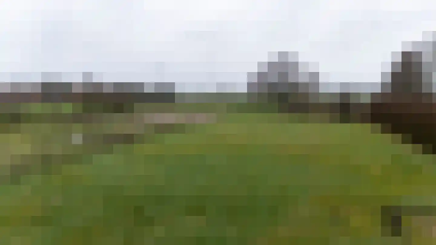Waaijenbergstraat 22 Zundert thumbnail 11
