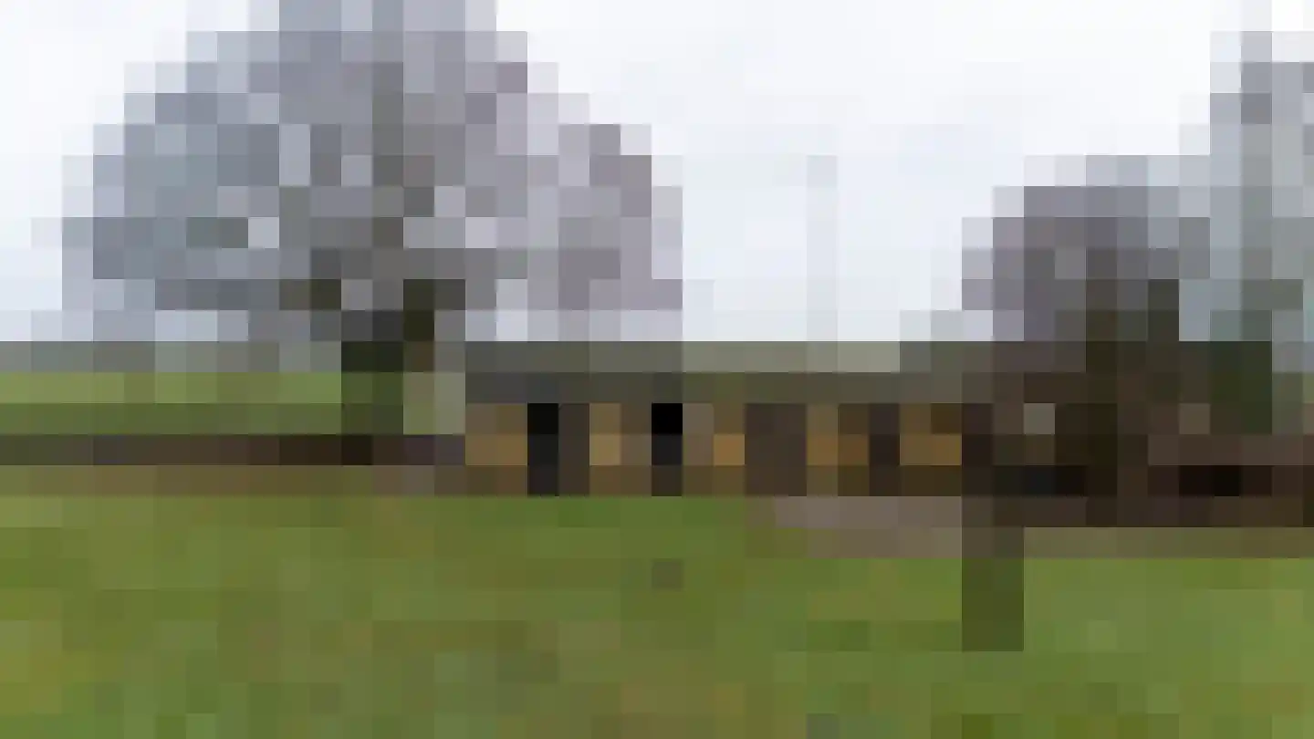 Waaijenbergstraat 22 Zundert thumbnail 13