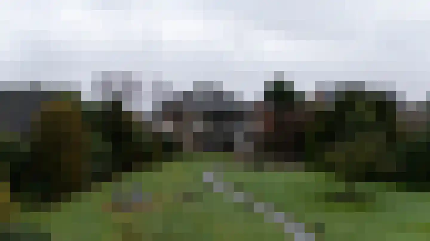 Waaijenbergstraat 22 Zundert thumbnail 14