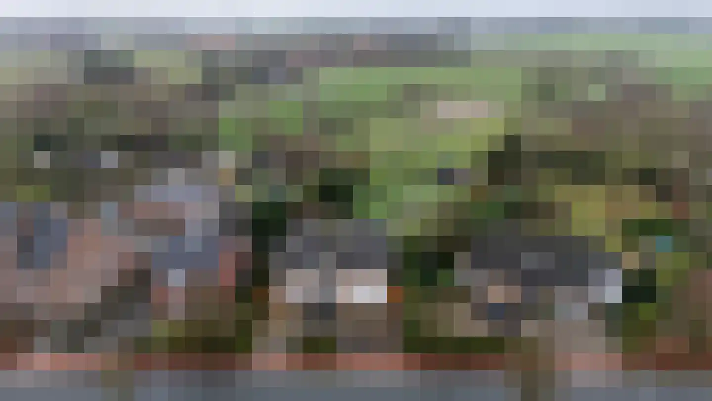 Waaijenbergstraat 22 Zundert thumbnail 17