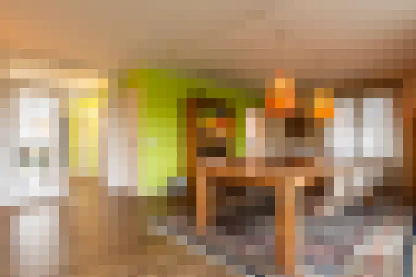 Waaijenbergstraat 22 Zundert thumbnail 38
