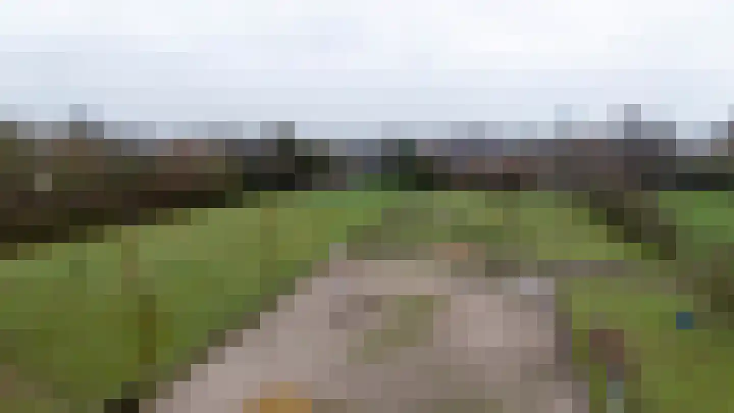 Waaijenbergstraat 22 Zundert thumbnail 4