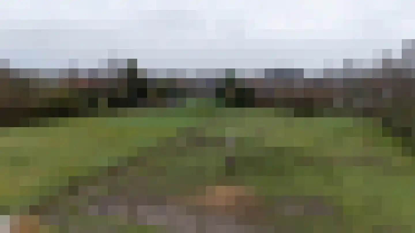 Waaijenbergstraat 22 Zundert thumbnail 5