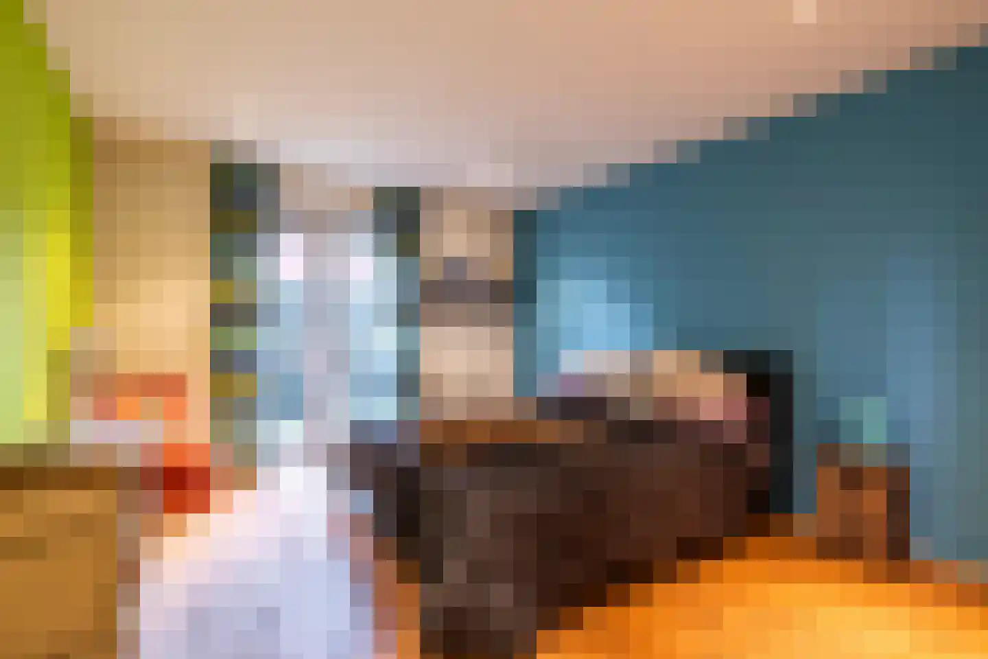 Waaijenbergstraat 22 Zundert thumbnail 51