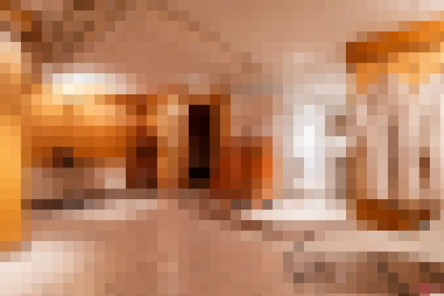 Waaijenbergstraat 22 Zundert thumbnail 61