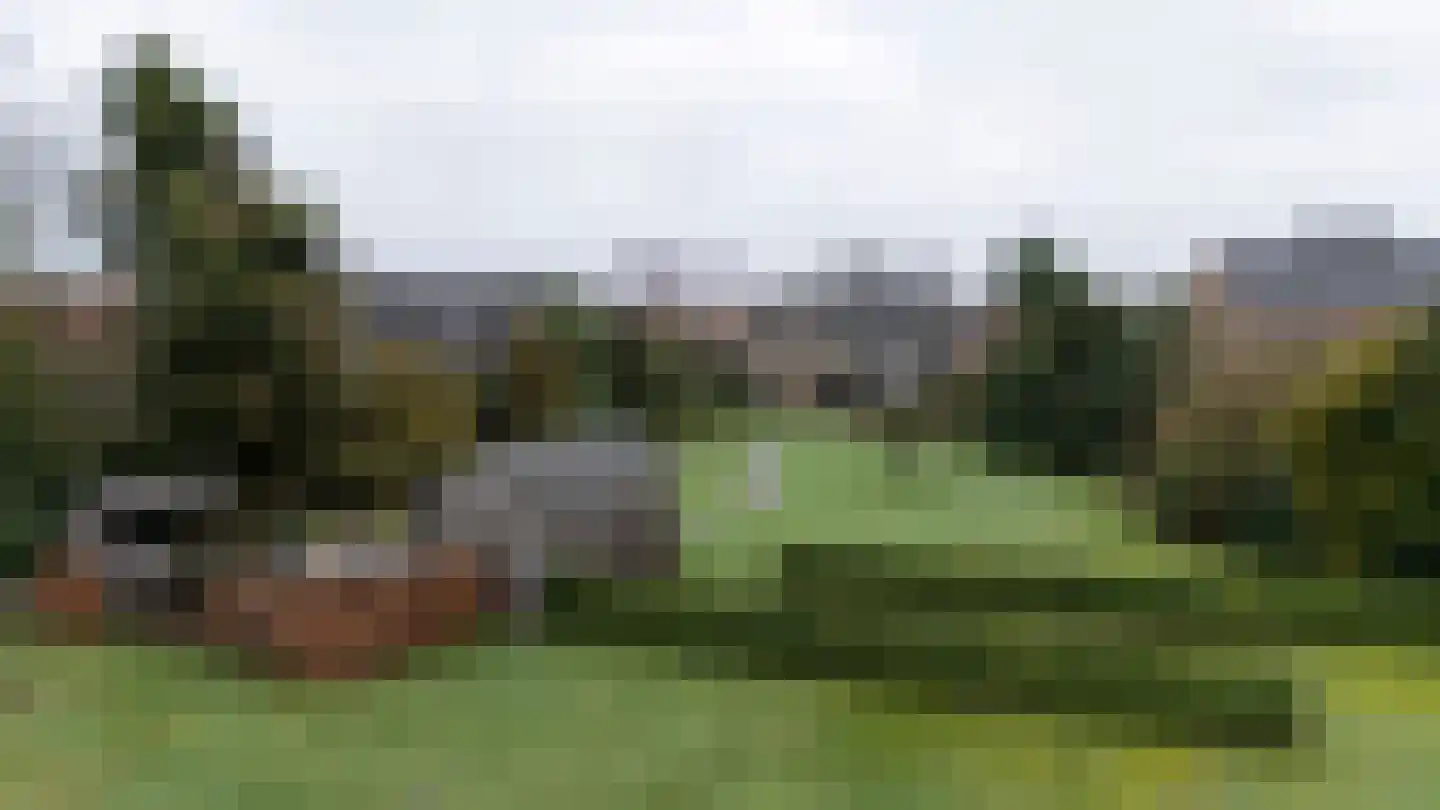 Waaijenbergstraat 22 Zundert thumbnail 7