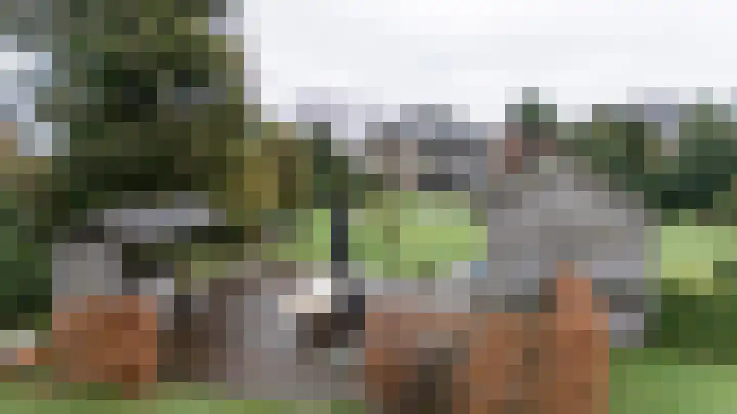 Waaijenbergstraat 22 Zundert thumbnail 8