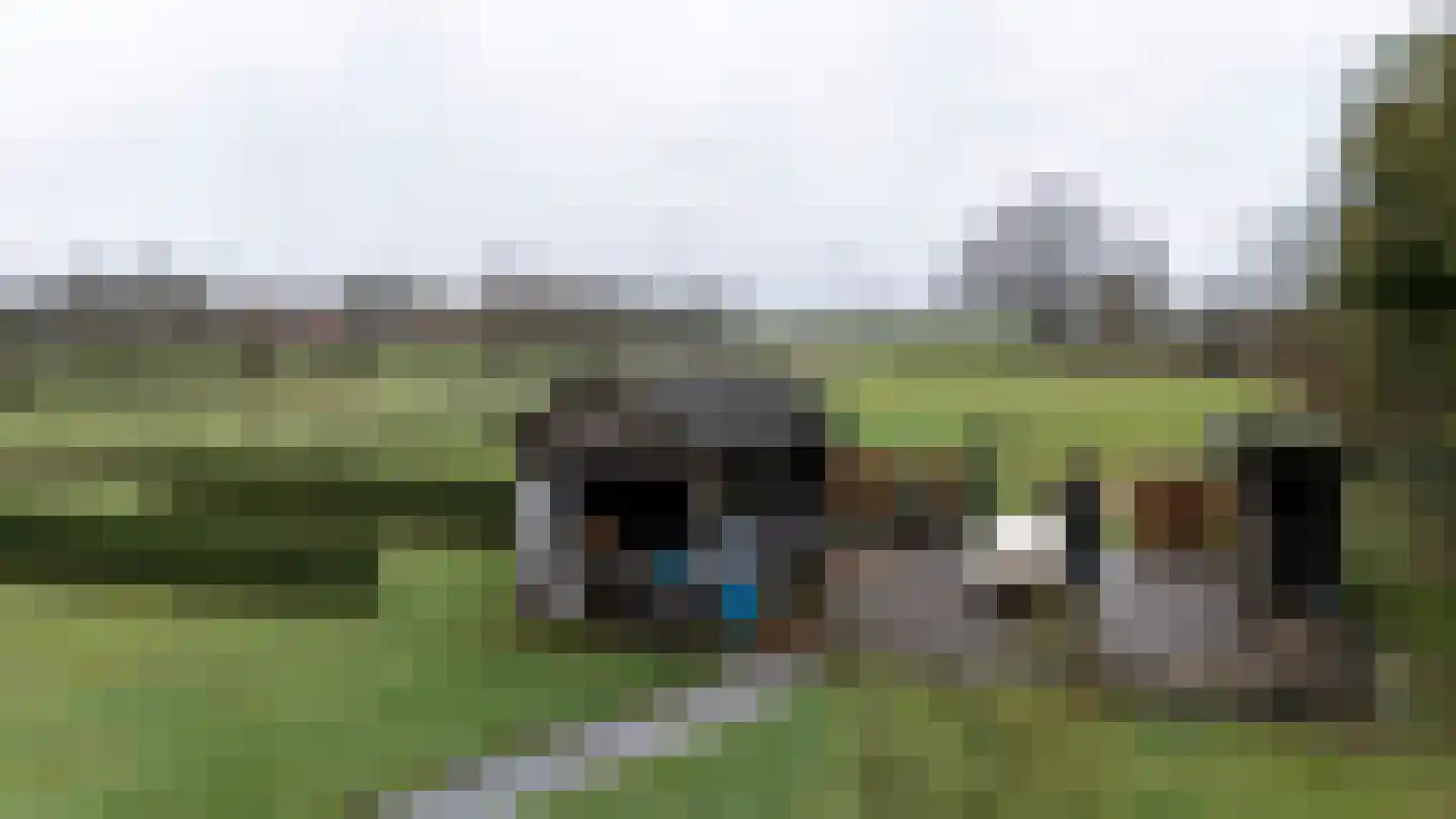 Waaijenbergstraat 22 Zundert thumbnail 9