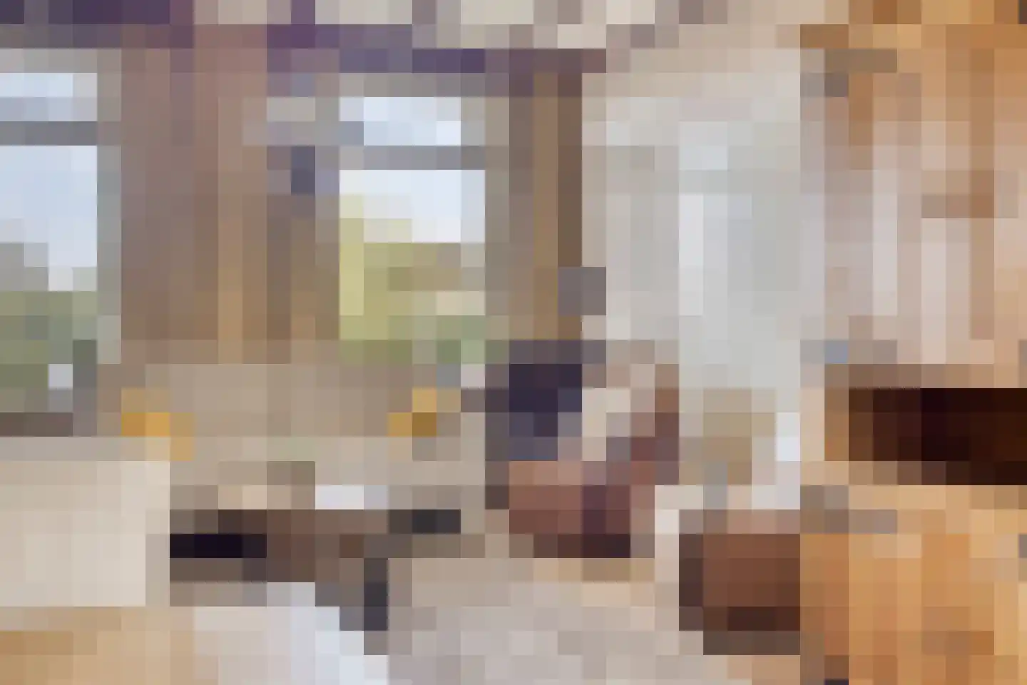 Waaijenbergstraat 3 Zundert thumbnail 11